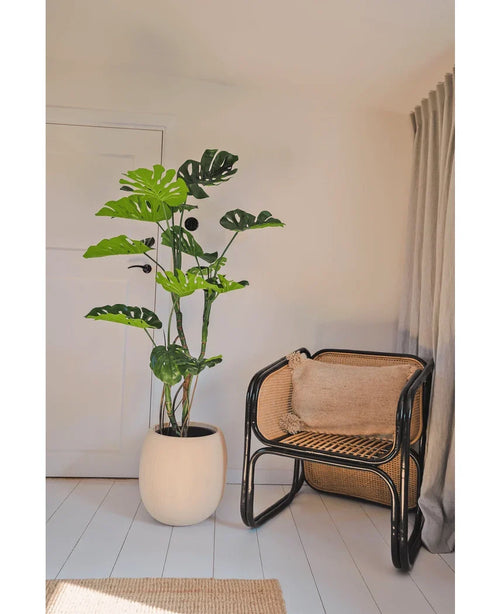 Une plante artificielle Monstera de 150 cm se dresse à côté d'une chaise en rotin avec un coussin marron dans une pièce lumineuse et minimaliste aux murs blancs, au parquet clair et aux rideaux beiges.