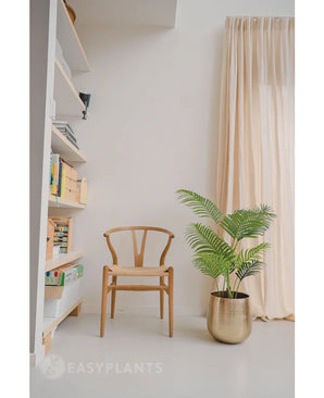 Een minimalistische kamer met een houten stoel, een gouden plantenbak met de Kunstplant Phoenix 120 cm, een witte boekenplank met boeken en decor, en beige gordijnen voor het raam.