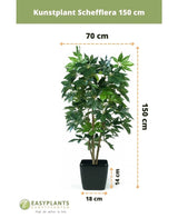 Kunstplant Schefflera 150 cm in een zwarte pot van 150x70x18 cm met weelderige groene bladeren. Hoogte pot: 14 cm. Merk Easyplants Kunstplanten.