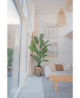 Een moderne, lichte woonkamer met grote ramen, neutrale inrichting, een Kunstplant Strelitzia Nicolai Deluxe 210 cm in een metalen pot, geweven hanglampen, ingelijste muurkunst, een houten salontafel en een beige bank met kussens.