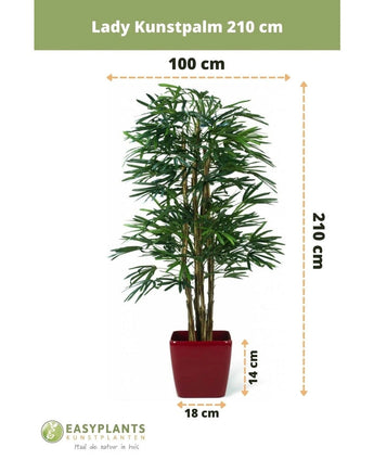Dame Kunstpalm 210 cm: Deze indrukwekkend realistische kunstmatige Rhapis Palm is 210 cm hoog en 100 cm breed in een opvallende rode pot (14 cm hoog, 18 cm breed) - een perfecte keuze voor stijlvolle ruimtes binnenshuis.