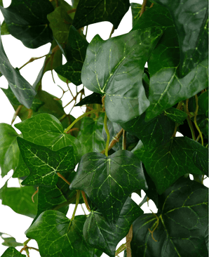 Lierre artificiel feuilles géantes 100 cm