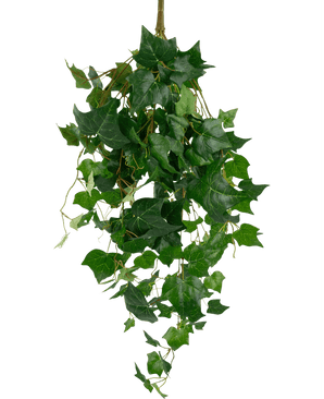 Lierre artificiel feuilles géantes 100 cm