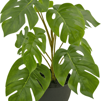 Monstera artificielle 40 cm dans un pot d'ornement noir