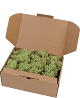 Mousse de renne Menthe