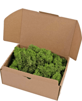 Mousse de renne Vert forêt