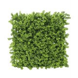 Mur végétal artificiel Mousse 50x50 cm UV
