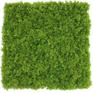 Mur végétal artificiel Mousse de montagne ignifugée 50x50cm