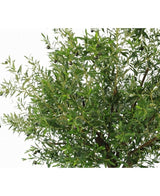 Olivier artificiel 270 cm avec olives