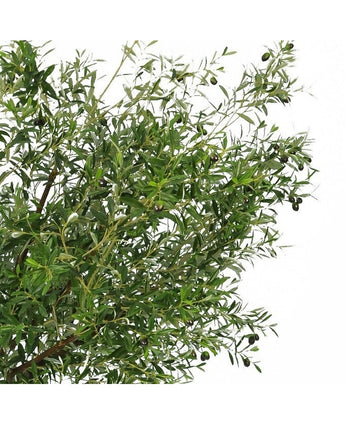 Olivier artificiel 270 cm avec olives
