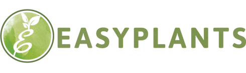 Easyplants-artificielles.fr