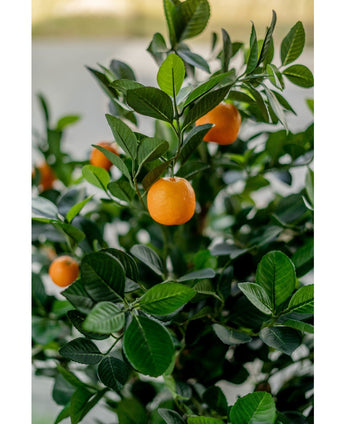 Oranger artificiel 120 cm