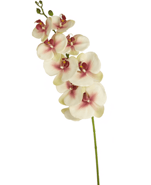 Orchidée artificielle Real Touch Deluxe 105 cm rose/blanc