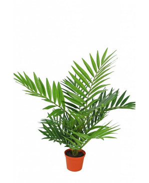 Palmier artificiel Parlour 60 cm