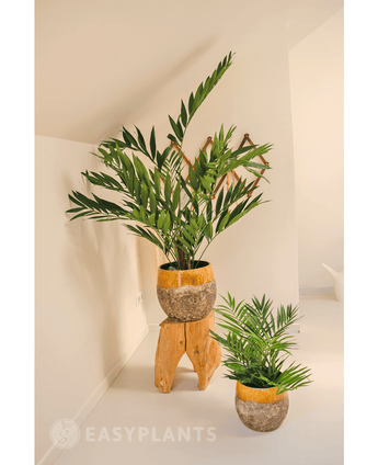 Palmier artificiel Parlour 60 cm