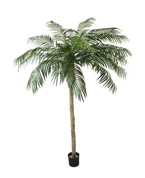 Palmier artificiel Phoenix De Luxe 250 cm