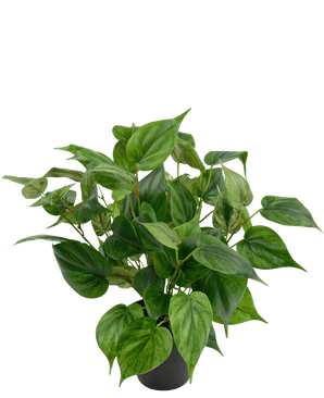 Philodendron artificiel en pot 40cm