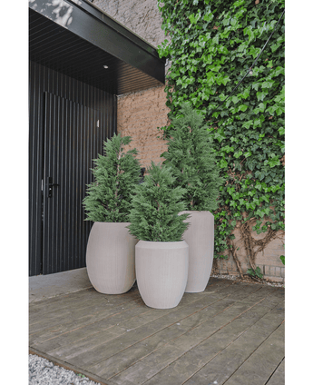 Plante Cyprès artificiel deluxe 100 cm UV