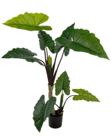 Plante artificielle Alocasia 150 cm