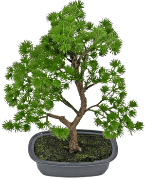 Plante artificielle Bonsai Juniper 30 cm