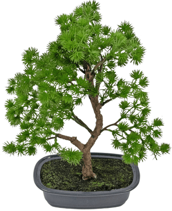 Plante artificielle Bonsai Juniper 30 cm