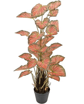 Plante artificielle Caladium 90 cm rose