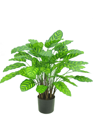 Plante artificielle Calathea Makoyana 75 cm rouge