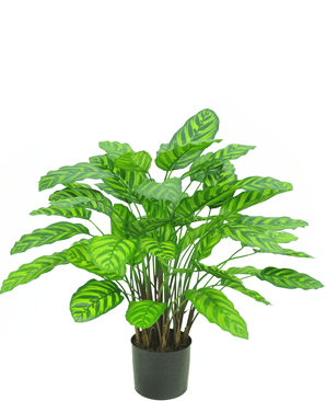 Plante artificielle Calathea Makoyana Deluxe 75 cm