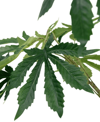 Plante artificielle Chanvre Cannabis Feuilles 60 cm
