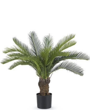 Plante artificielle Cycad palm 80 cm