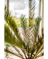 Plante artificielle Cycus Palm Deluxe 95 cm