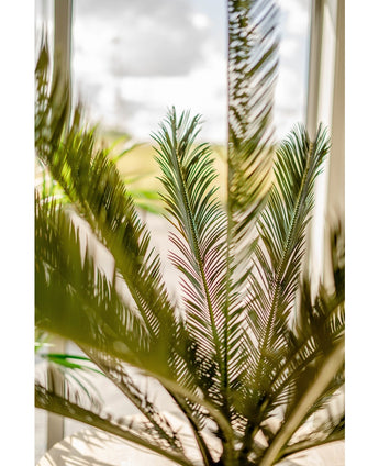 Plante artificielle Cycus Palm Deluxe 95 cm
