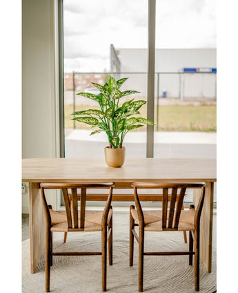 Plante artificielle Dieffenbachia 75 cm