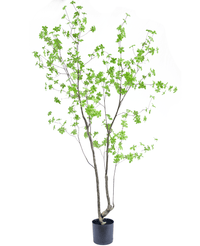 Plante artificielle Enkianthus 210 cm