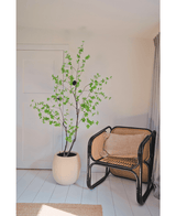 Plante artificielle Enkianthus 210 cm
