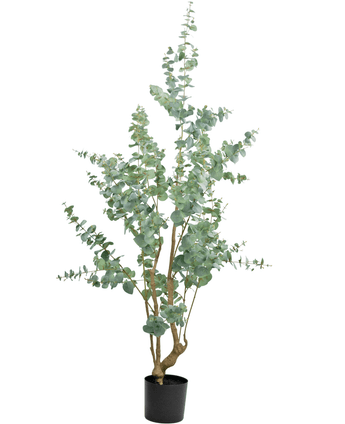 Plante artificielle Eucalyptus 180 cm