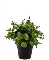Plante artificielle Eucalyptus rouge en pot 22 cm UV