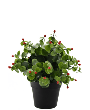 Plante artificielle Eucalyptus rouge en pot 22 cm UV