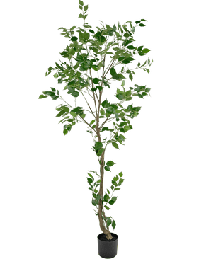 Plante artificielle Ficus 210 cm