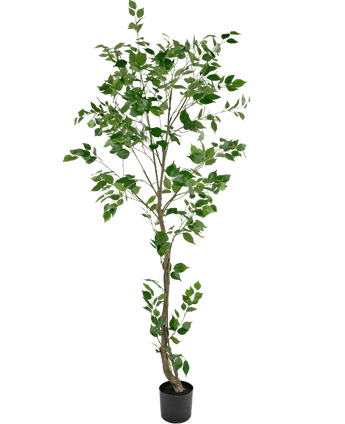 Plante artificielle Ficus 210 cm