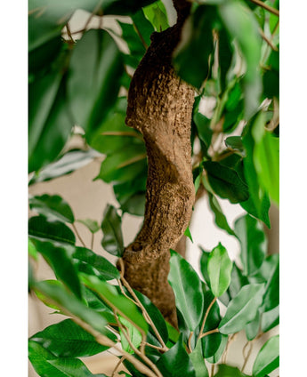 Plante artificielle Ficus Crazy 120 cm