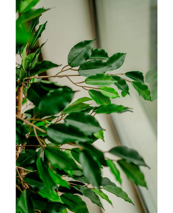 Plante artificielle Ficus Green 120 cm