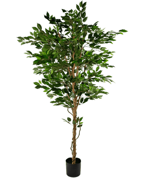 Plante artificielle Ficus Green 210 cm