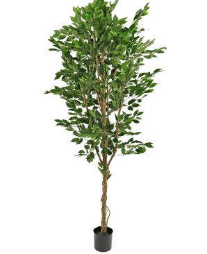 Plante artificielle Ficus Green 240 cm