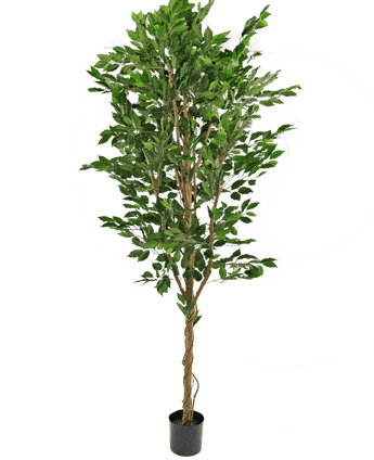 Plante artificielle Ficus Green 240 cm