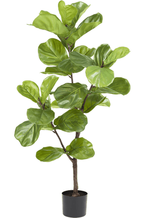 Plante artificielle Ficus Tobacco Plant Deluxe 125 cm