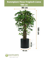Plante artificielle Ficus Tropical Liana 180 cm