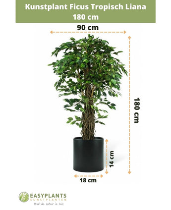 Plante artificielle Ficus Tropical Liana 180 cm