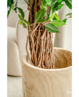 Plante artificielle Ficus Tropical Liana 180 cm