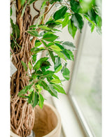 Plante artificielle Ficus Tropical Liana 180 cm